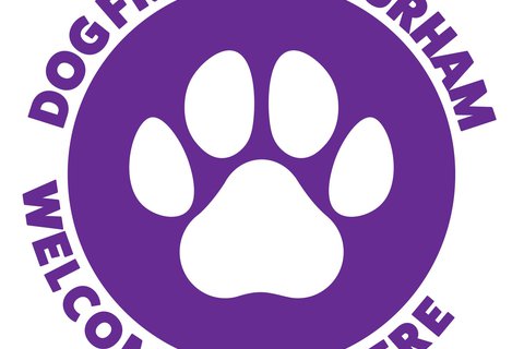 Dog-Friendly Durham